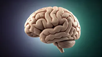 Is Social Media Scrolling Bad For Your Health?