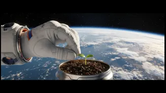 Space Travel Research Starts With Daily Routines