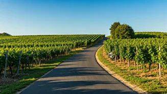 Burgundy's Grand Cru Route: Start to Finish Guide