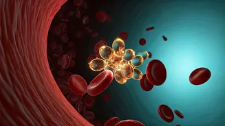 Related Stories banner