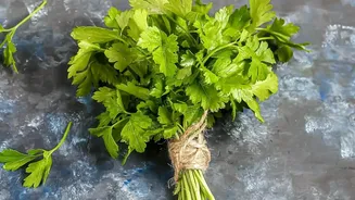 Parsley Recipe Ideas: A Green Addition To Savoury Snacks