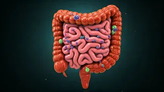 10 Ways Antibiotics Mess Up Your Gut: A Gastroenterologist's Take