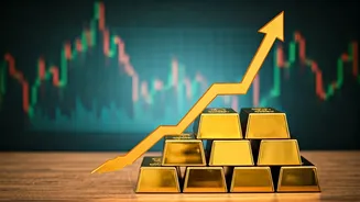 India's Economic Outlook: IMF Raises Growth Forecasts