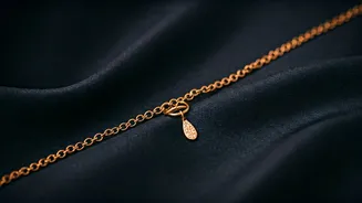 The Waist Chain Renaissance: From Noughties Flashback to Concert Essential