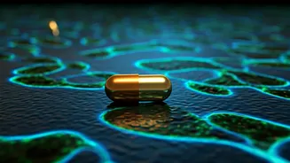 Rapamycin for Longevity: Unpacking the Science and Risks of the Anti-Aging Biohack