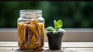 Why Balcony Plant Lovers Save Fermented Banana Peels Weekly
