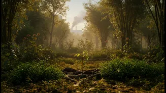 Forests Could Help India's Mitigation Effort, But They Cannot Replace Emissions Cuts