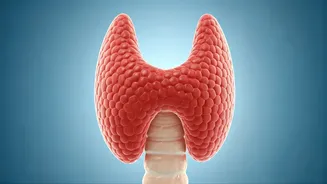 Thyroid Cancer Prevention: Lifestyle Changes for a Healthy Future