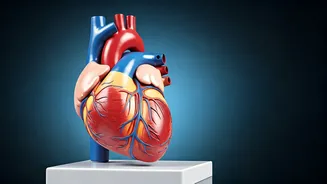 Fewer Steps, Longer Life: Harvard's Insight