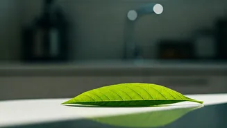 The Everyday Habit That Helps The Planet