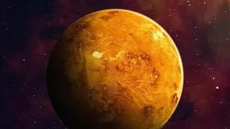 Venus's 15 August Evening Elongation Puts Easy Planet Spotting After Sunset In Focus