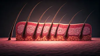 India's Hair Loss Secret: Could Your Gut Be the Real Culprit?