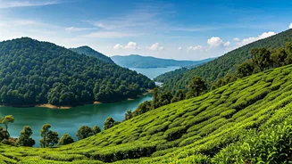 Family Getaways Spike Across Wayanad, Nainital, And Festive Munnar