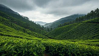 These Peaceful Getaways Are Perfect For Rain Lovers
