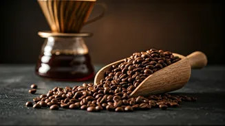 Regional Coffee Is Brewing A Cozy Comeback