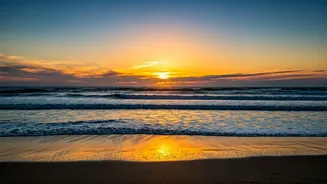 Related Stories banner