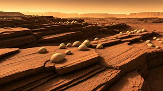 Mars' Mysterious 'Spiderwebs': Rover Uncovers Puzzling Egg-Like Structures