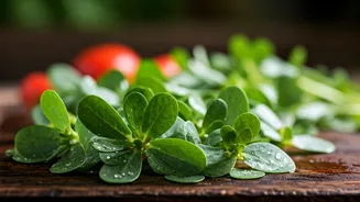 Unveiling Purslane: A Culinary Delight!