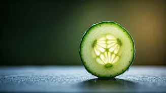 Defeat Humid Pet Strain With Cucumber Frozen Enrichment Hacks