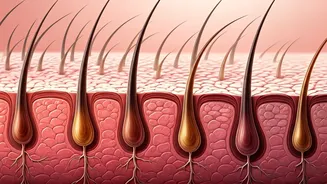 Baldness Breakdown: India Ranks 29th Globally, Debunking Hair Loss Myths