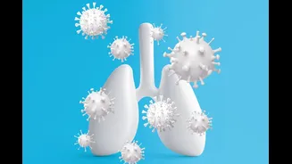 O que sabemos sobre a nova variante da gripe em circulação