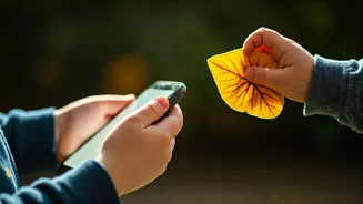 Screen Time Scrutiny: How Early Digital Exposure Stunts Childhood Social and Sensory Growth