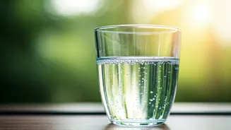 Safe Water Beats Fancy Wellness Hacks This Season