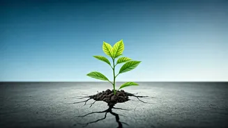 Gen Z's Career Aspirations: Growth Over Titles