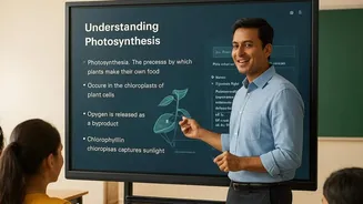 How AI tools are changing the way teachers teach