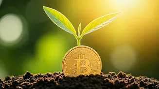 Small Monthly Investments, Bigger Future Dreams