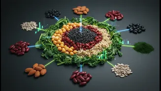 How new plant-based digestibility data changes how we calculate daily protein requirements