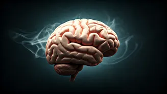 Silent Danger: Incense Smoke Linked to Brain and Nerve Damage, Doctor Warns