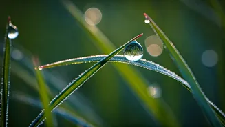 Unlock Your Inner Strength: 5AM Affirmations for Navigating Uncertainty