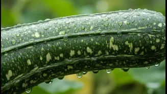 Monsoon Vegetables Deserve A Chaturmas Spotlight