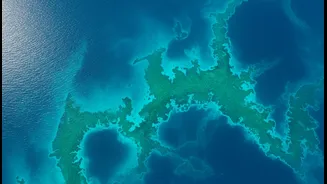 How turquoise bloom from space reveals nutrient distribution shifts in marine systems