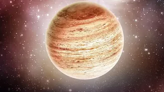 Brown Dwarfs Can Resemble Giant Planets, But Their Formation Makes Them Different