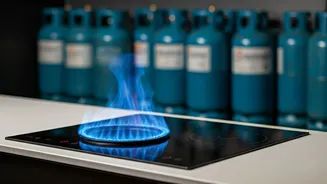 Electric Cooking Surge: How LPG Worries are Driving Demand for Alternatives
