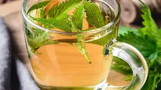 Upgrade Water Intake With Gentle Herbal Brews That Soothe Digestion And Hydrate