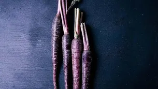 Gut Health Trends: Why Fermented Black Carrot Kanji Is Returning To Urban Kitchens