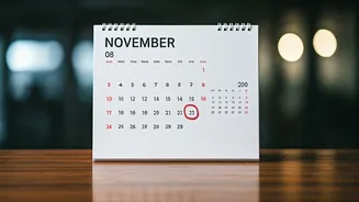 Unveiling India's Bank Holiday Breaks: November Edition