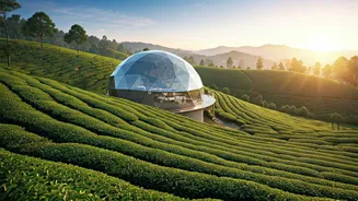 Misty Tea Gardens Plus Munnar Domes Equals Pure Romance