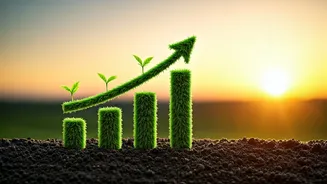 Naukri placement Statistics Reveal Massive Sixteen Percent Fresher Hiring Spike