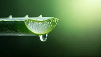 Unlock Radiant Skin: 5 Effortless Ways to Use Fresh Aloe Vera at Home