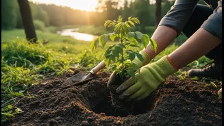 What Harela's Sapling Drive could change about community monitoring after mass plantation drives