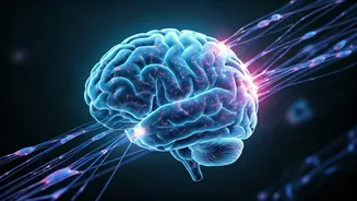 The Social Contagion of Yawning: Unpacking Your Brain's Mirror System and Empathy