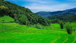 India's Kharif Crops Face Different Risks Across Rainfall Zones