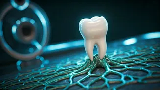Regrow Your Teeth? Groundbreaking Japanese Drug Trials Offer New Hope!