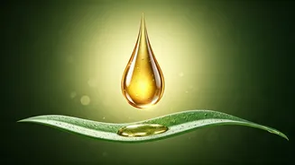 Metro Living & Your Skin: The Essential Role of Vitamin C in Pollution Defence