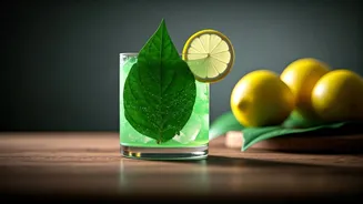 Betel Leaf Lemonade Is The New Digestion Saviour