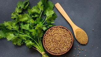 Leftover coriander and mint stems provide basis for zero waste cooking oils